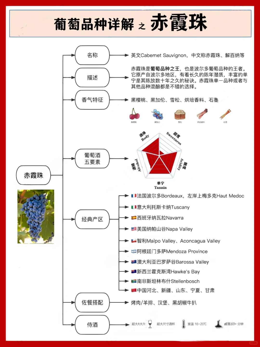 葡萄品种系列 ｜ 葡萄之王赤霞珠_1_Mark2Win_来自小红书网页版.jpg